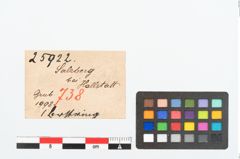 Etikett zu Bernsteinringperle (NHMW-PRAE-025922)